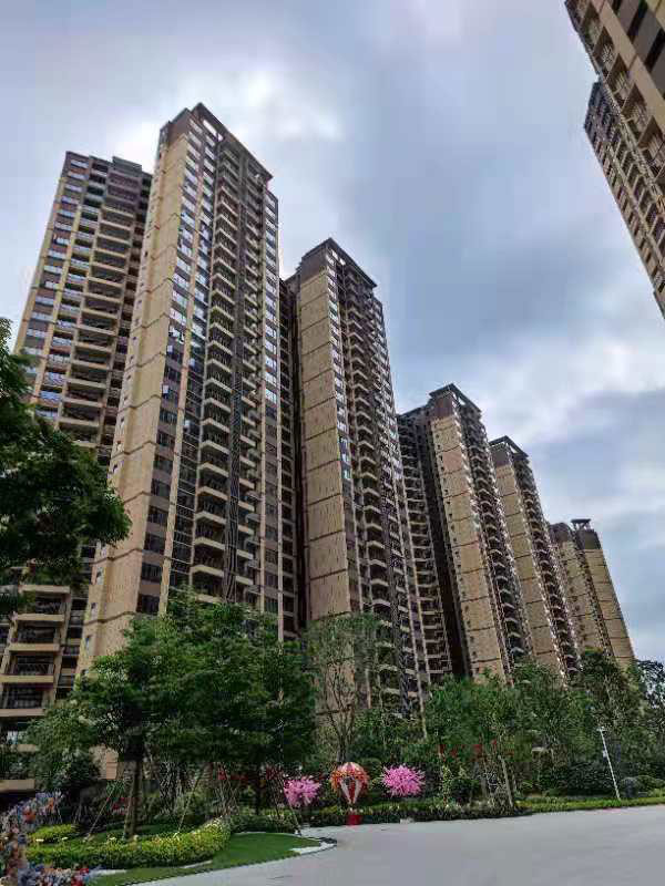 现场实景1.jpg